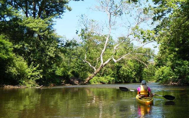 Conodoguinet Creek