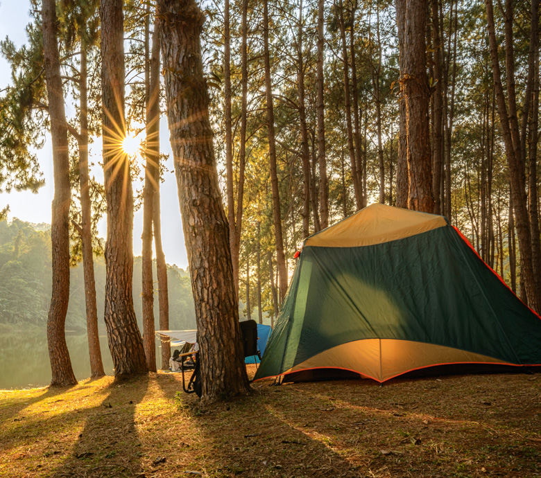 Stay-Camping